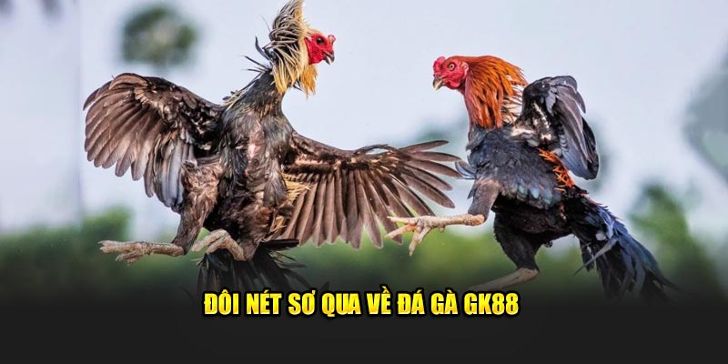 Đôi nét sơ qua về đá gà GK88