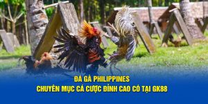 Đá gà philippines thể loại ăn khách nhất sảnh game gk88